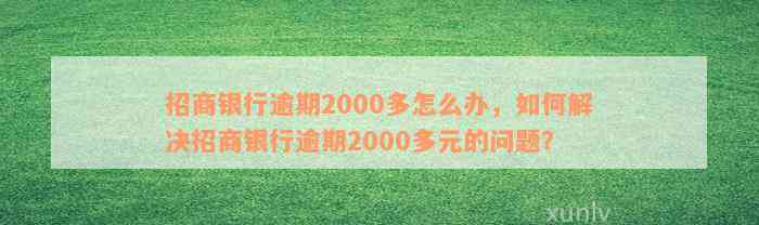 招商银行逾期2000多怎么办，如何解决招商银行逾期2000多元的问题？