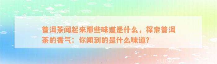 普洱茶闻起来那些味道是什么，探索普洱茶的香气：你闻到的是什么味道？