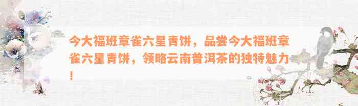 今大福班章雀六星青饼，品尝今大福班章雀六星青饼，领略云南普洱茶的独特魅力！