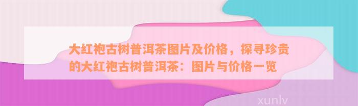 大红袍古树普洱茶图片及价格，探寻珍贵的大红袍古树普洱茶：图片与价格一览