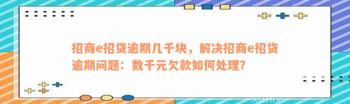 招商e招贷逾期几千块，解决招商e招贷逾期问题：数千元欠款如何处理？