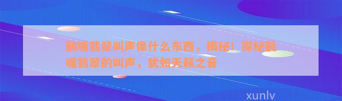 鹳嘴翡翠叫声像什么东西，揭秘！探秘鹳嘴翡翠的叫声，犹如天籁之音