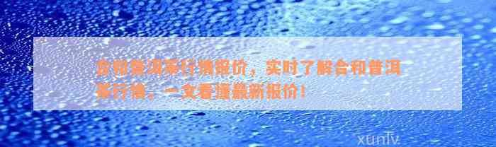 合和普洱茶行情报价，实时了解合和普洱茶行情，一文看懂最新报价！