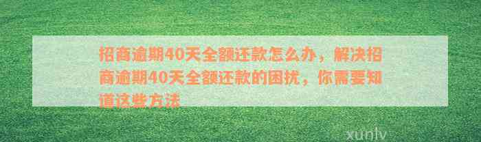 招商逾期40天全额还款怎么办，解决招商逾期40天全额还款的困扰，你需要知道这些方法