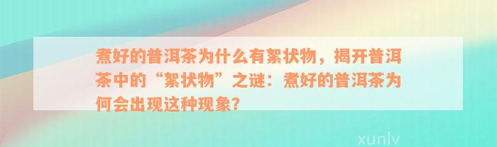 煮好的普洱茶为什么有絮状物，揭开普洱茶中的“絮状物”之谜：煮好的普洱茶为何会出现这种现象？