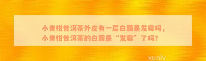 小青柑普洱茶外皮有一层白霜是发霉吗，小青柑普洱茶的白霜是“发霉”了吗？