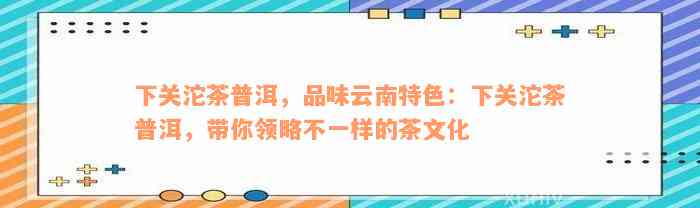 下关沱茶普洱，品味云南特色：下关沱茶普洱，带你领略不一样的茶文化