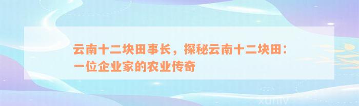 云南十二块田事长，探秘云南十二块田：一位企业家的农业传奇