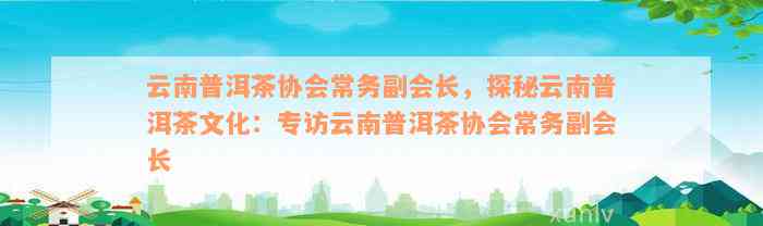 云南普洱茶协会常务副会长，探秘云南普洱茶文化：专访云南普洱茶协会常务副会长