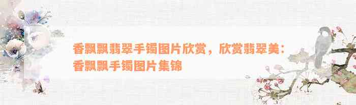 香飘飘翡翠手镯图片欣赏，欣赏翡翠美：香飘飘手镯图片集锦