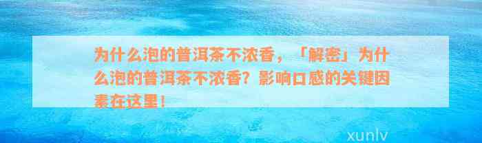 为什么泡的普洱茶不浓香，「解密」为什么泡的普洱茶不浓香？影响口感的关键因素在这里！