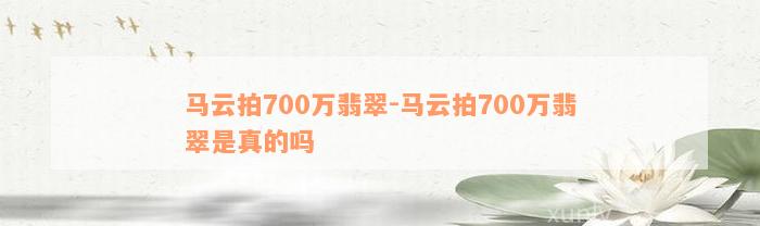 马云拍700万翡翠-马云拍700万翡翠是真的吗