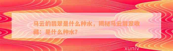 马云的翡翠是什么种水，揭秘马云翡翠收藏：是什么种水？