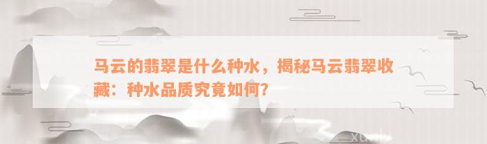 马云的翡翠是什么种水，揭秘马云翡翠收藏：种水品质究竟如何？