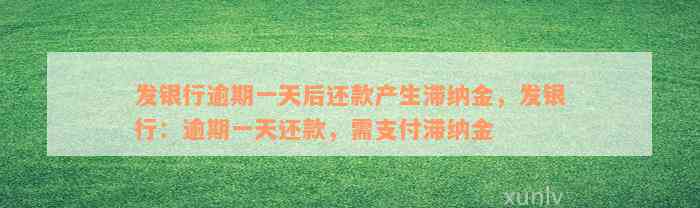 发银行逾期一天后还款产生滞纳金，发银行：逾期一天还款，需支付滞纳金