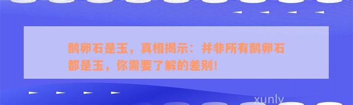 鹅卵石是玉，真相揭示：并非所有鹅卵石都是玉，你需要了解的差别！