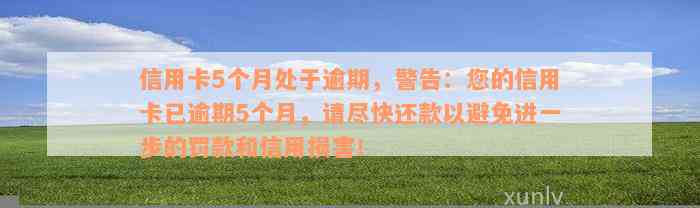 信用卡5个月处于逾期，警告：您的信用卡已逾期5个月，请尽快还款以避免进一步的罚款和信用损害！