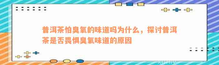 普洱茶怕臭氧的味道吗为什么，探讨普洱茶是否畏惧臭氧味道的原因