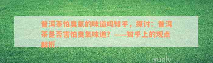 普洱茶怕臭氧的味道吗知乎，探讨：普洱茶是否害怕臭氧味道？——知乎上的观点解析