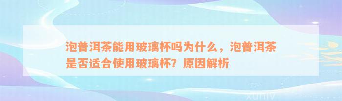 泡普洱茶能用玻璃杯吗为什么，泡普洱茶是否适合使用玻璃杯？原因解析