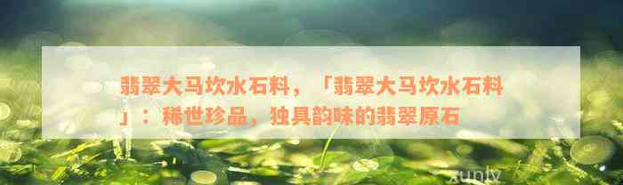 翡翠大马坎水石料，「翡翠大马坎水石料」：稀世珍品，独具韵味的翡翠原石