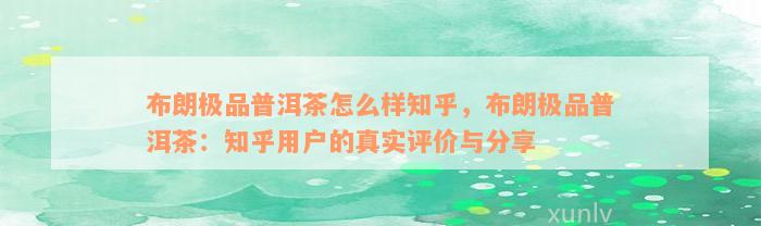 布朗极品普洱茶怎么样知乎，布朗极品普洱茶：知乎用户的真实评价与分享