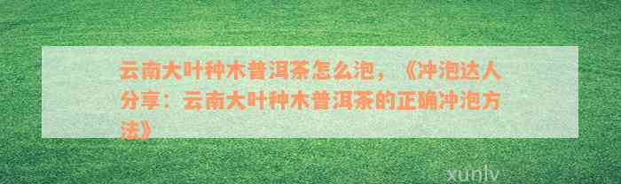 云南大叶种木普洱茶怎么泡，《冲泡达人分享：云南大叶种木普洱茶的正确冲泡方法》