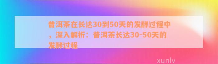 普洱茶在长达30到50天的发酵过程中，深入解析：普洱茶长达30-50天的发酵过程