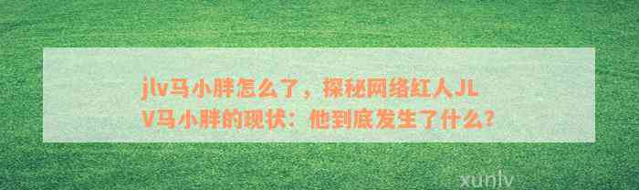 jlv马小胖怎么了，探秘网络红人JLV马小胖的现状：他到底发生了什么？