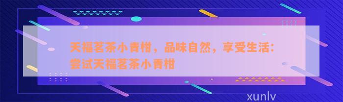 天福茗茶小青柑，品味自然，享受生活：尝试天福茗茶小青柑