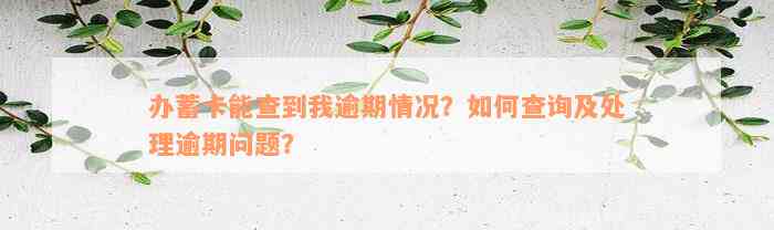 办蓄卡能查到我逾期情况？如何查询及处理逾期问题？