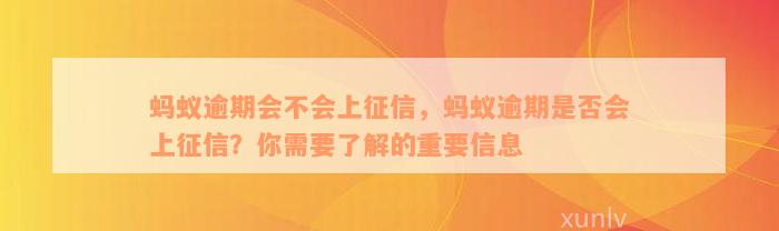 蚂蚁逾期会不会上征信，蚂蚁逾期是否会上征信？你需要了解的重要信息