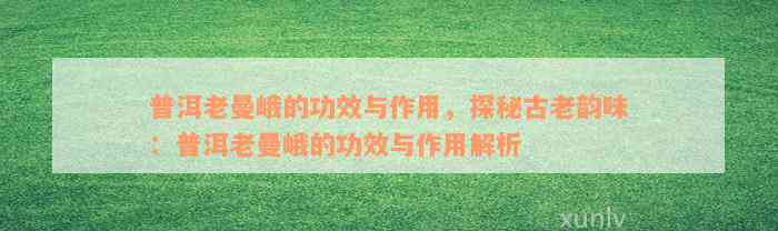 普洱老曼峨的功效与作用，探秘古老韵味：普洱老曼峨的功效与作用解析