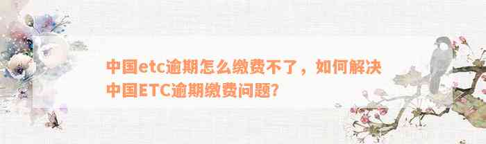 中国etc逾期怎么缴费不了，如何解决中国ETC逾期缴费问题？