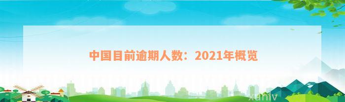 中国目前逾期人数：2021年概览