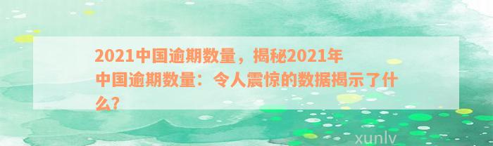 2021中国逾期数量，揭秘2021年中国逾期数量：令人震惊的数据揭示了什么？