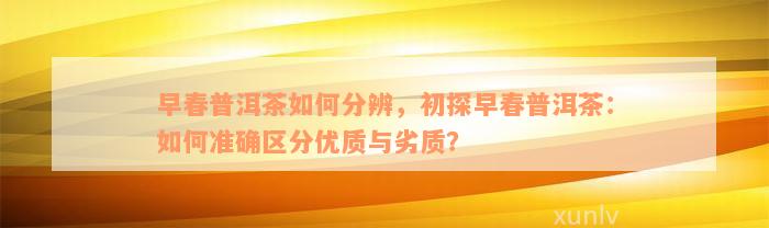 早春普洱茶如何分辨，初探早春普洱茶：如何准确区分优质与劣质？