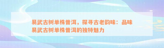 易武古树单株普洱，探寻古老韵味：品味易武古树单株普洱的独特魅力