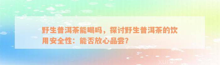 野生普洱茶能喝吗，探讨野生普洱茶的饮用安全性：能否放心品尝？