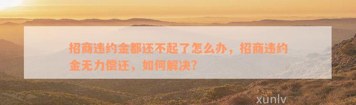 招商违约金都还不起了怎么办，招商违约金无力偿还，如何解决?