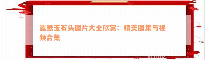 鸳鸯玉石头图片大全欣赏：精美图集与视频合集