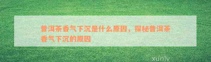 普洱茶香气下沉是什么原因，探秘普洱茶香气下沉的原因