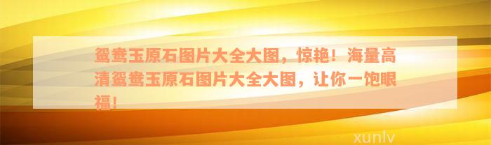 鸳鸯玉原石图片大全大图，惊艳！海量高清鸳鸯玉原石图片大全大图，让你一饱眼福！