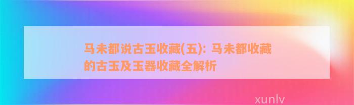 马未都说古玉收藏(五): 马未都收藏的古玉及玉器收藏全解析