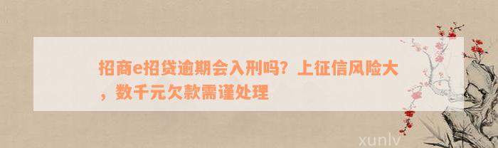 招商e招贷逾期会入刑吗？上征信风险大，数千元欠款需谨处理