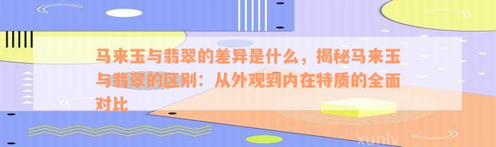 马来玉与翡翠的差异是什么，揭秘马来玉与翡翠的区别：从外观到内在特质的全面对比