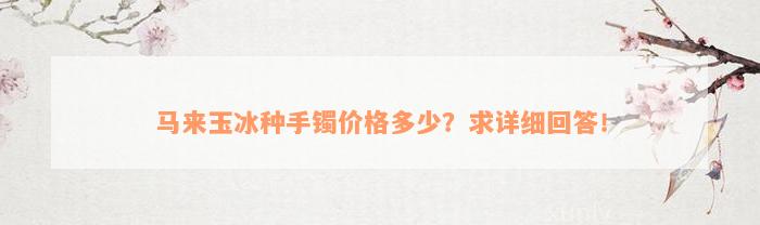 马来玉冰种手镯价格多少？求详细回答！