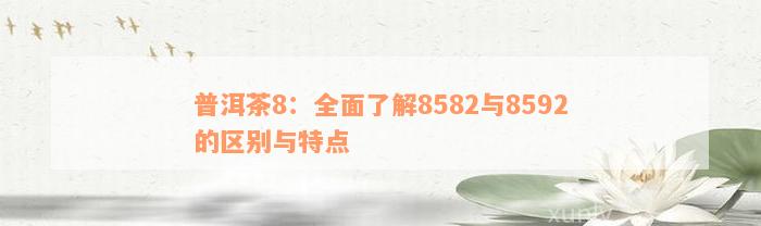 普洱茶8：全面了解8582与8592的区别与特点