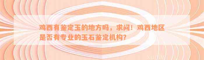 鸡西有鉴定玉的地方吗，求问！鸡西地区是否有专业的玉石鉴定机构？