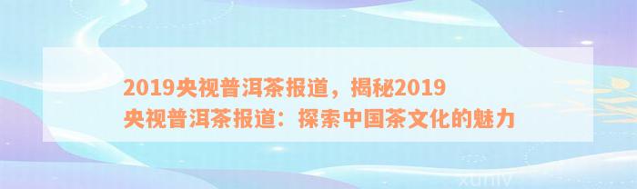 2019央视普洱茶报道，揭秘2019央视普洱茶报道：探索中国茶文化的魅力